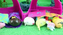 Pig George e Peppa Pig Brincam no Acampamento com Dora Aventureira e Botas FunToysKids