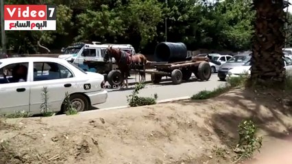 بالفيديو.. "عربة كارو" تربك حركة المرور فى شارع الهرم