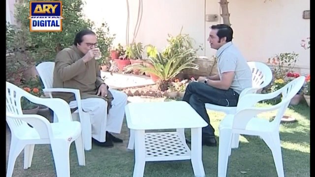 Bulbulay Episode 209 on Ary Digital in High Quality 2nd June 2016