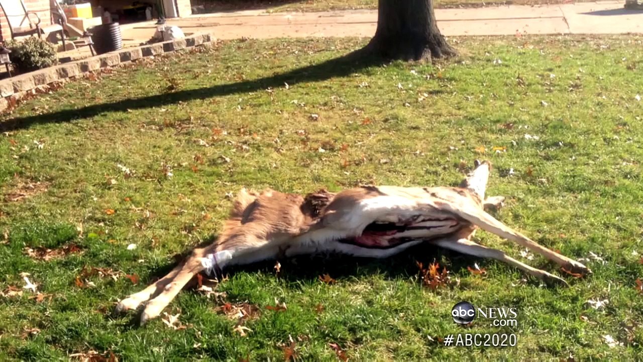 Neighbors From Hell | 20/20 | ABC News