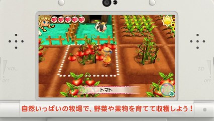 Harvest Moon : Mitsu no Sato no Taisetsu no Tomodachi - Mirai Shida Demo Play