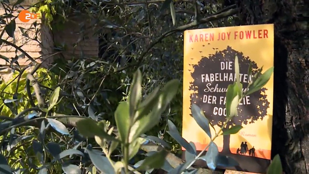 Der Mensch im Spiegel des Affen