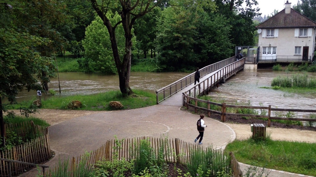 Savigny-sur-Orge - Viry-Châtillon. Crue de l'Orge : les inondations du 2 juin 2016