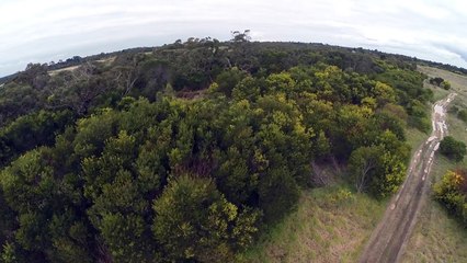 Eagle vs Drone - 2m Wedge-Tailed Eagle takes down Drone. Watch it Punch it out of the sky
