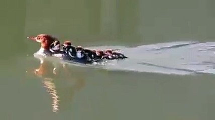 Thats Called Real Nature