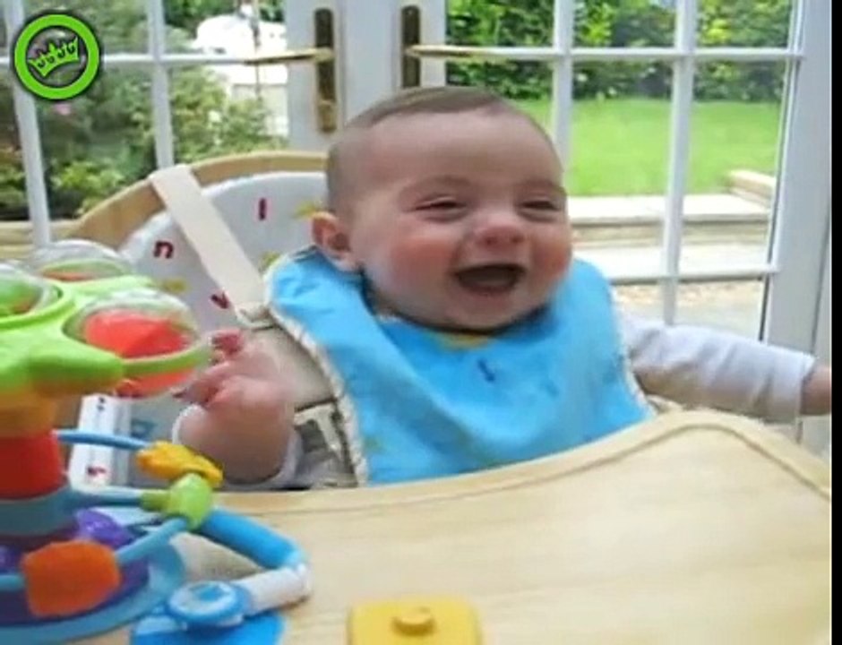 The Funniest And Most Stupid Laughs Ever