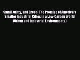 Download Small Gritty and Green: The Promise of America's Smaller Industrial Cities in a Low-Carbon