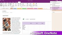 OneNote #Tutorial ~ Chapter45-Setting display options