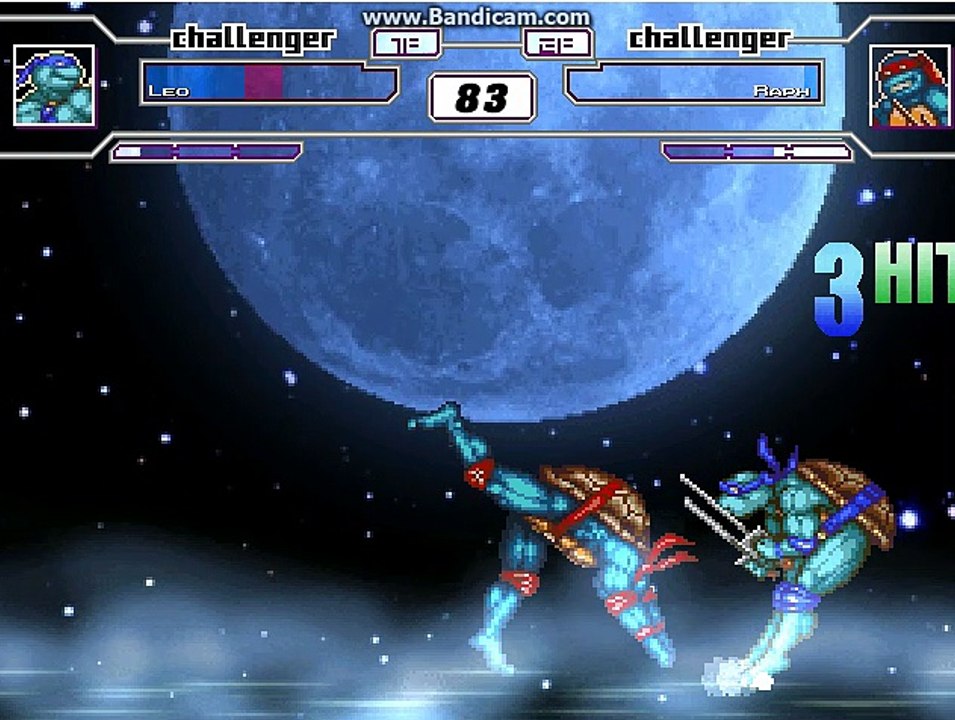 Leonardo vs Raphael