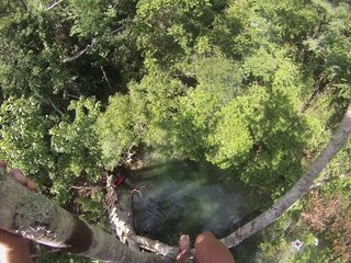 Florida Man Takes 60 Foot Plunge From Tree Into River