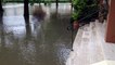 Savigny-sur-Orge. Crue de l'Orge : les inondations du 2 juin 2016