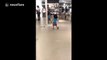 Toddler dances like 'nobody's watching' in mall