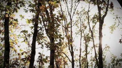 Devrim Gürenç - Olsun Tanrım