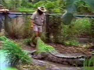 People falling...Watch N Laugh