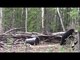Spring Archery Black Bear