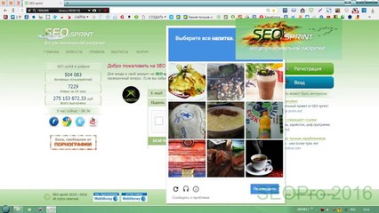 Новый бот для сайта SEOsprint (SEOPro 2016)