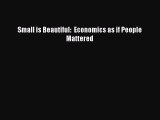 Read Small is Beautiful:  Economics as if People Mattered ebook textbooks