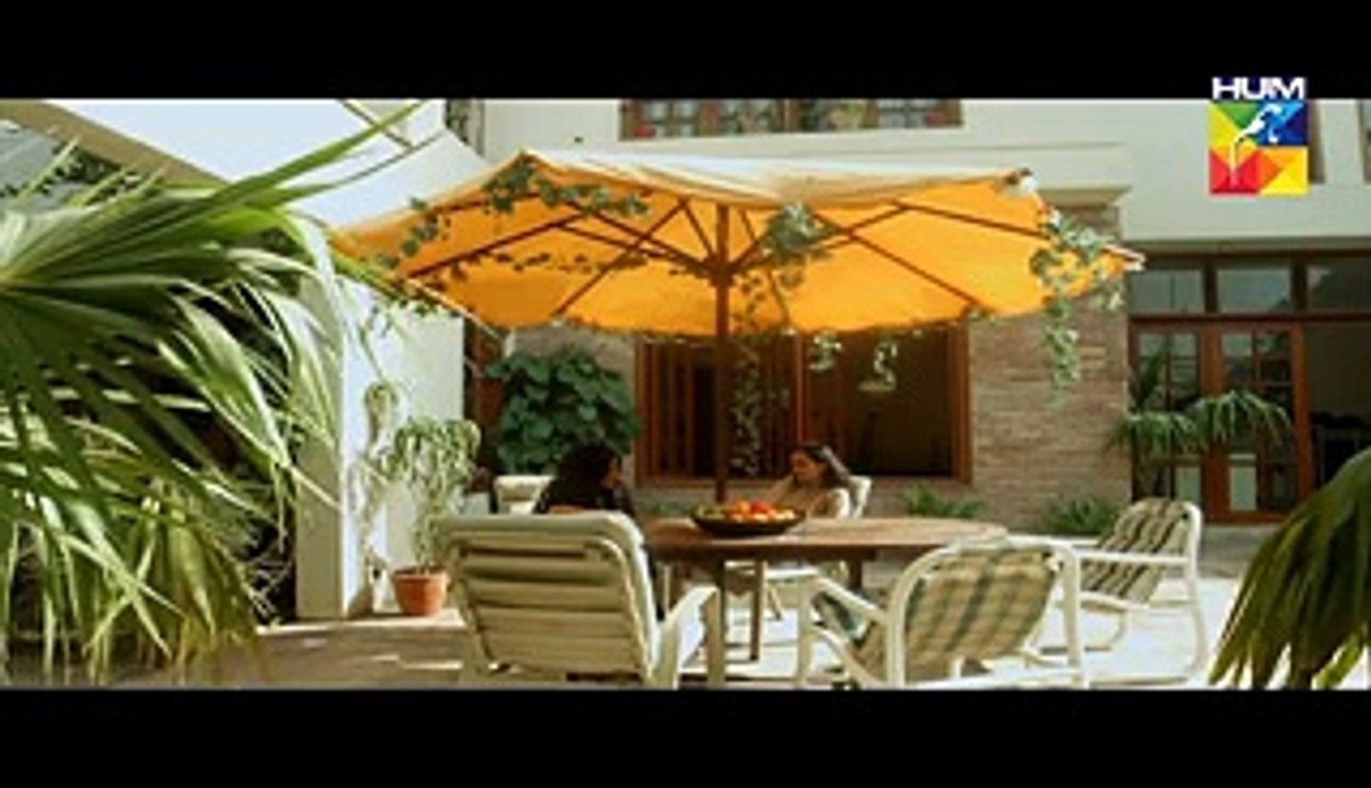 Pakeeza Episode 17 Full HD HUM TV Drama 2 June 2016