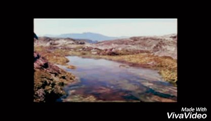 Over the Hedge (1998) Trailer | Comcast On Demand