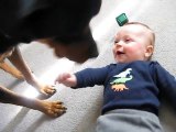 Rottweiler causing a baby laugh attack