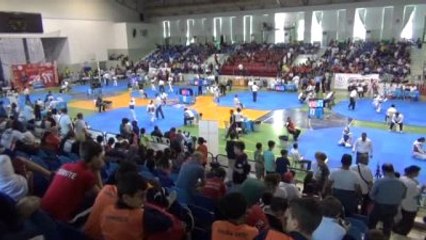 Türkiye Yıldızlar Tekvando Şampiyonası