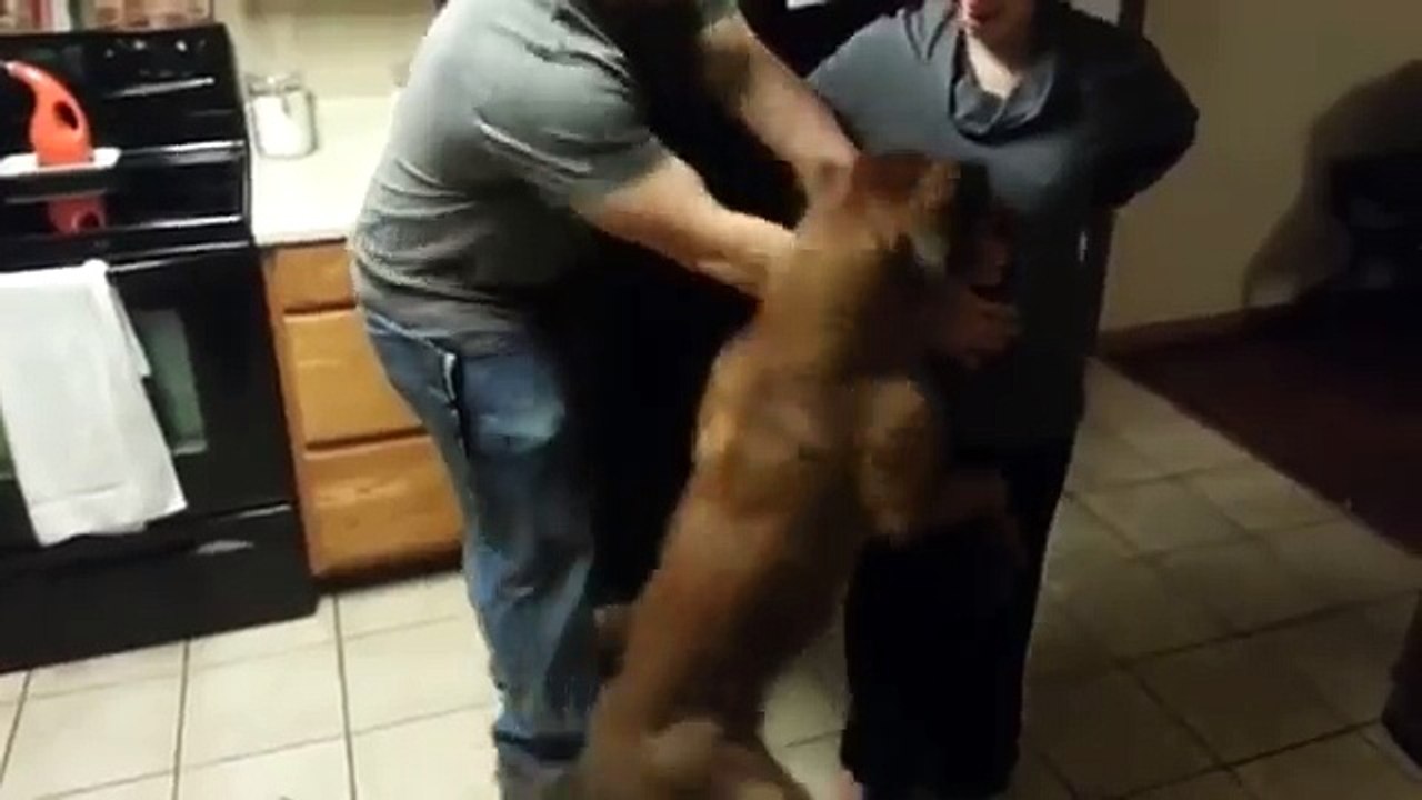 Вот это я понимаю охранник!