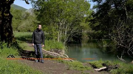 Le JT Montagne : la réserve naturelle du bout du Lac d'Annecy