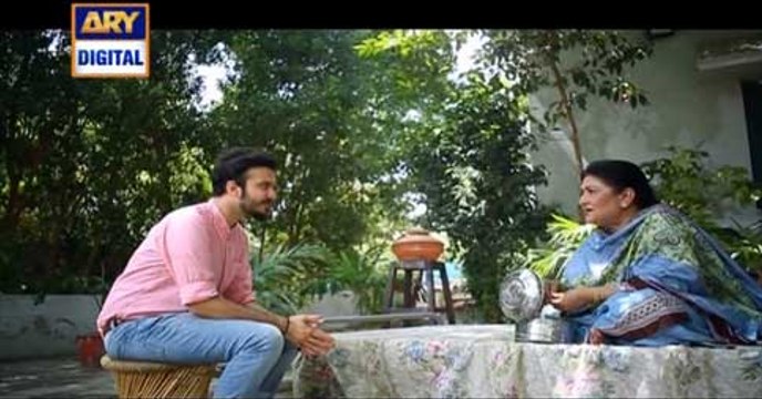 Shehzada Saleem Episode 83 on Ary Digital in High Quality 2nd June 2016