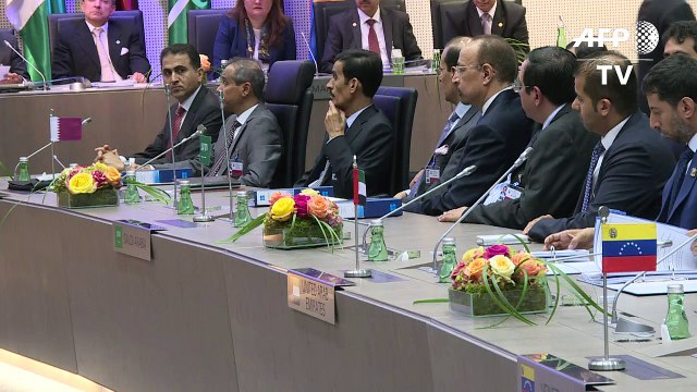 Saudi energy minister says OPEC happy with oil market