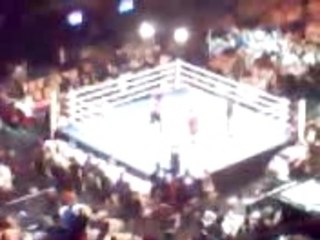 Free fight lak amsterdam