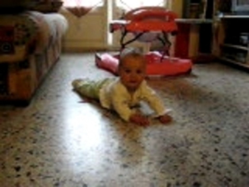 mon mollusque