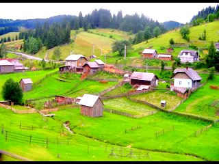 BETTY CURTIS - ZI NICOLA