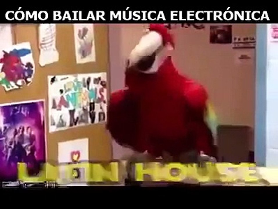 Como bailar electrónica