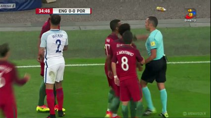 Bruno Alves Kung Fu & Red Card ~ England vs Portugal