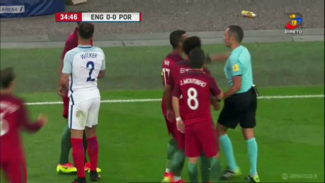 Bruno Alves Kung Fu & Red Card ~ England vs Portugal
