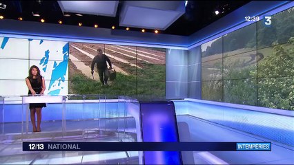 Inondations : des agriculteurs démunis