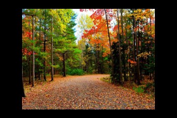 Aaa Larki Pyaar kare ge tu mara atbaar kare gi
