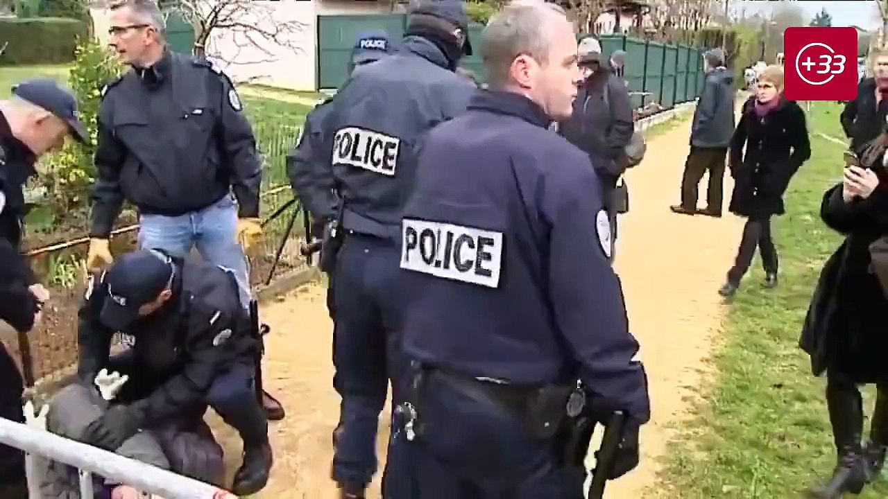 Die Wiege der Demokratie