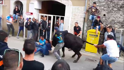 Concours-Attrapaire-Villetelle-abrivado-bandido-02/06/2016