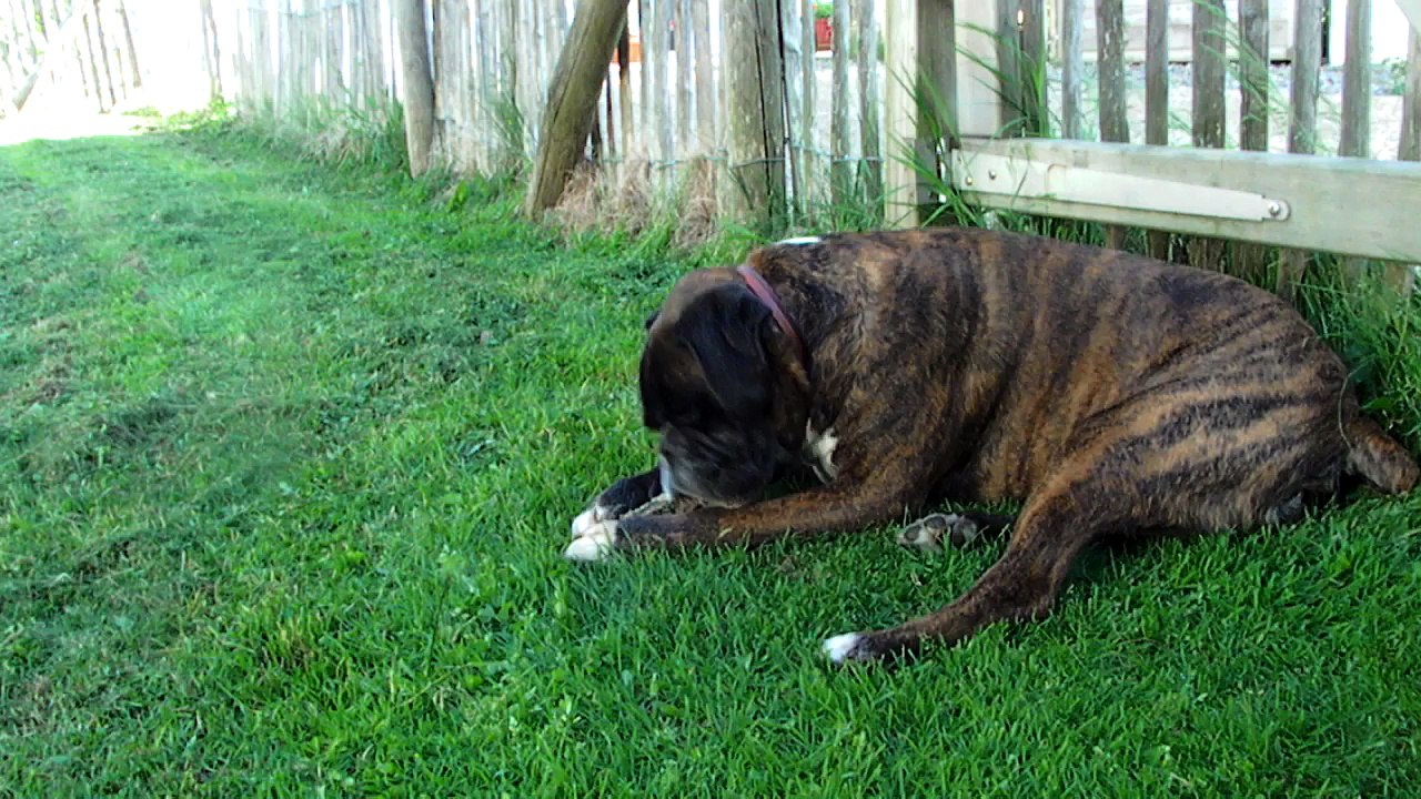 Que c'est passionnant un nonosss!!!