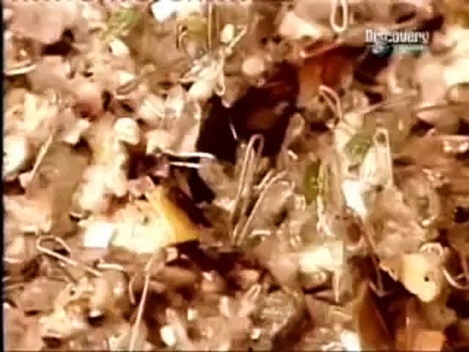 Así se hace el Papel Higienico