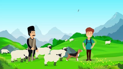 анимация на заказ анимация и мультипликация создание видеороликов