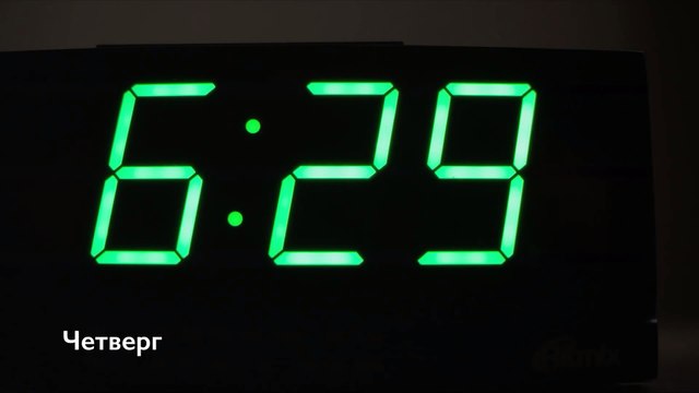 Cute dog джек рассел будит хозяина