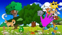 Peppa Pig Clown Family Mommy Pig Give Birth Finger Family Lyrics and More by Pig Tv – Nursery Rhymes