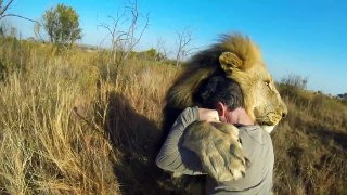 GoPro_ Lion Hug