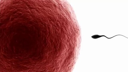 ارخص  طريقة طبيعية  لتقوية الحيوانات المنوية وحركتها