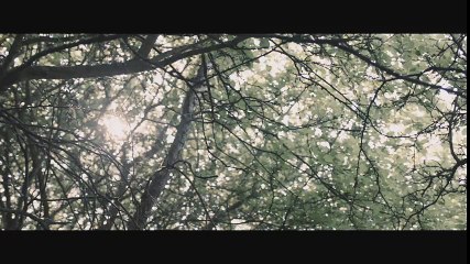 Second Coming Trailer