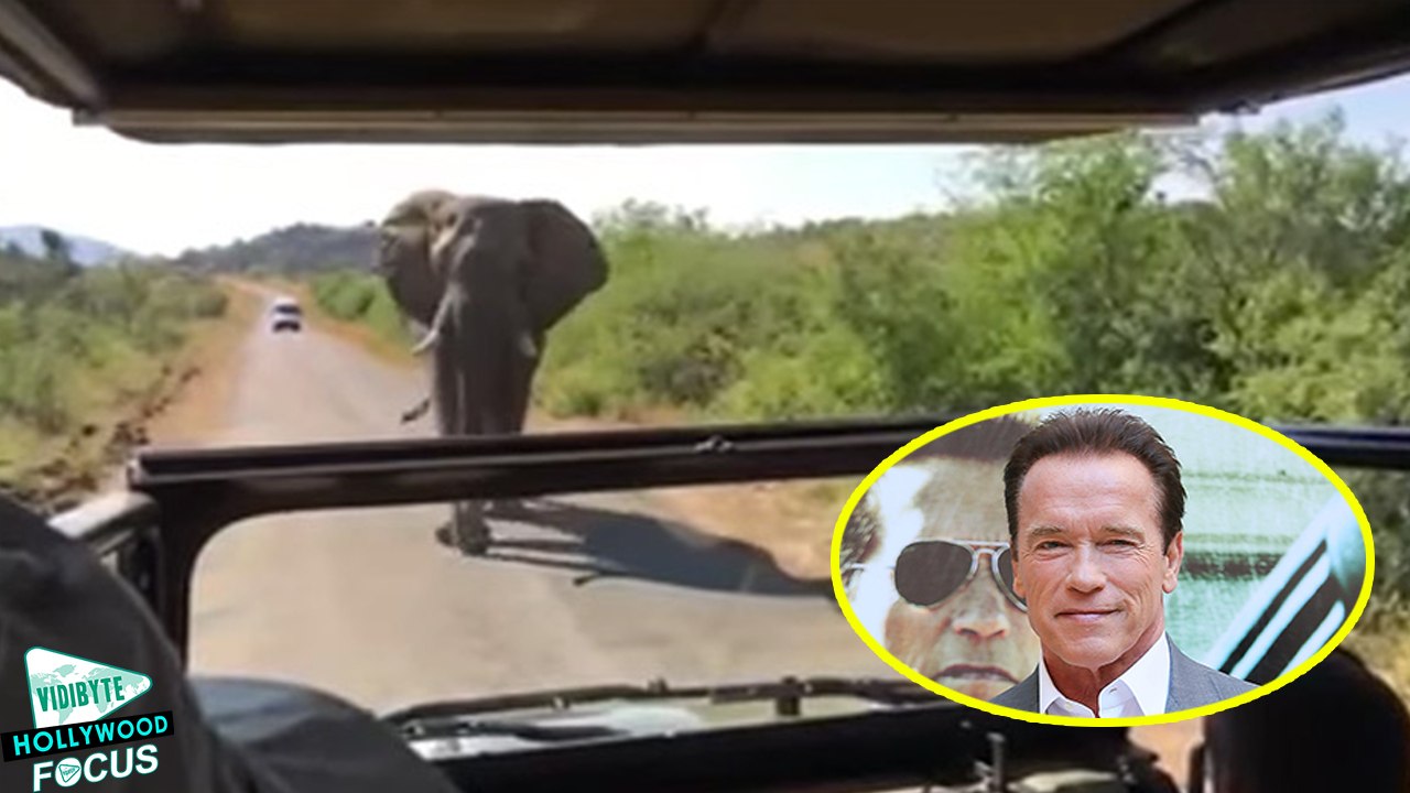 Arnold Schwarzenegger Gets Chased By Wild Elephant On African Safari