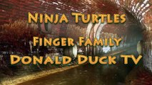 Finger Family Ninja Turtles   Ninja Turtles Cartoon Finger Family Nursery Rhyme