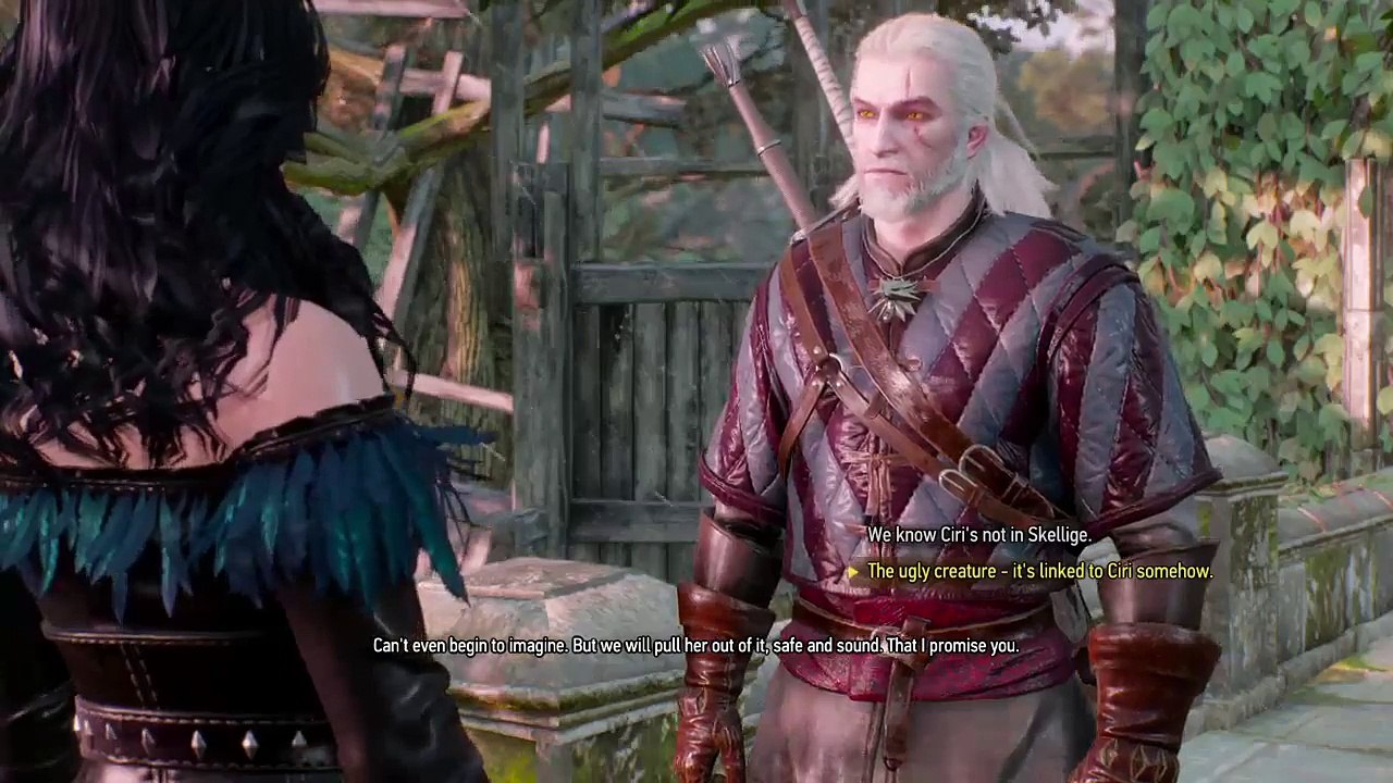 The witcher 3 with DLC (138)